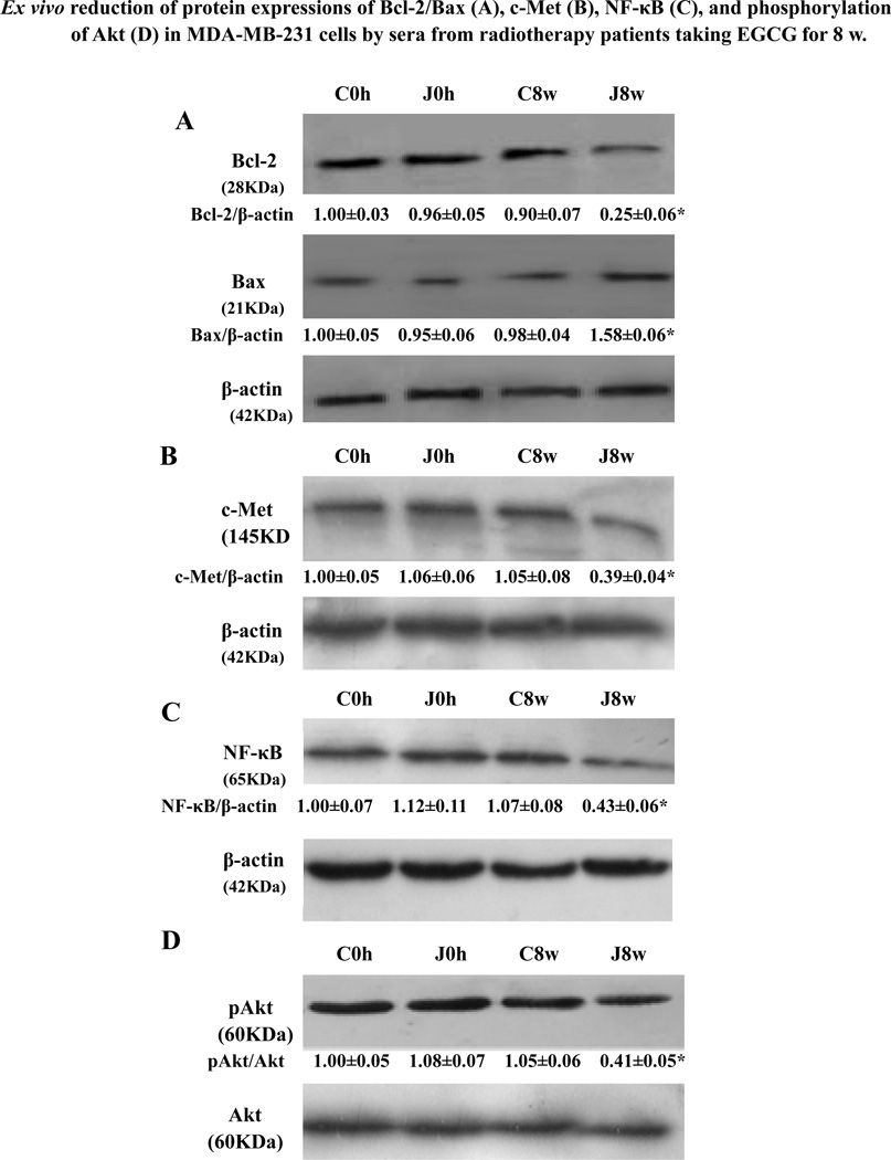 Fig. (6)