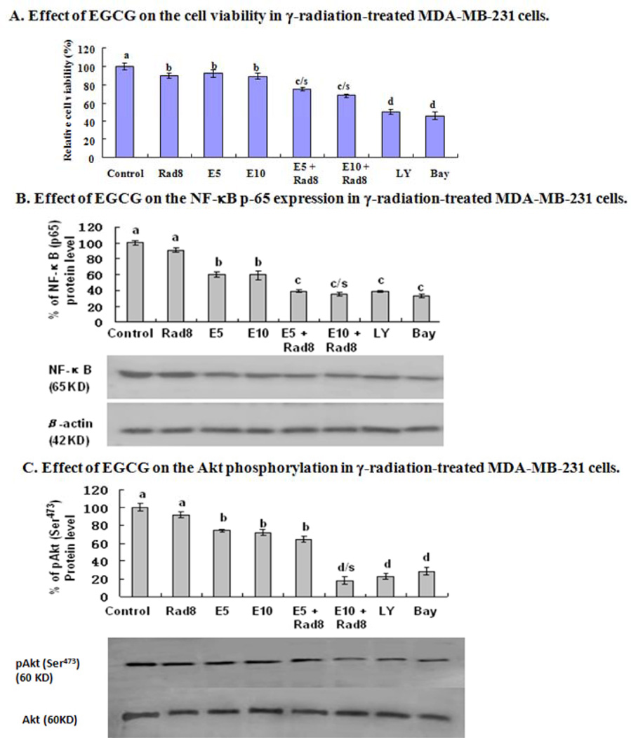 Fig. (7)