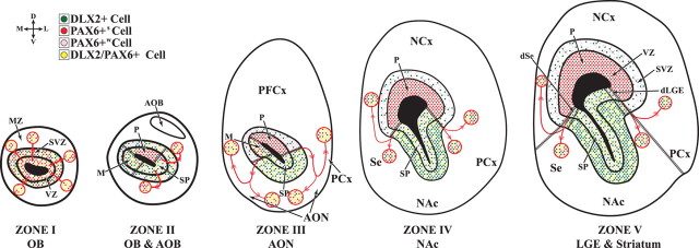 Figure 9.