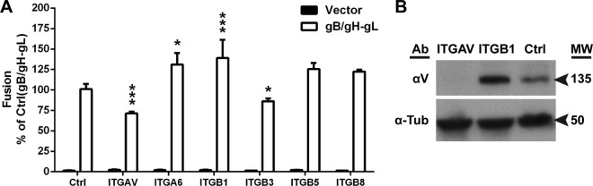 FIG 5