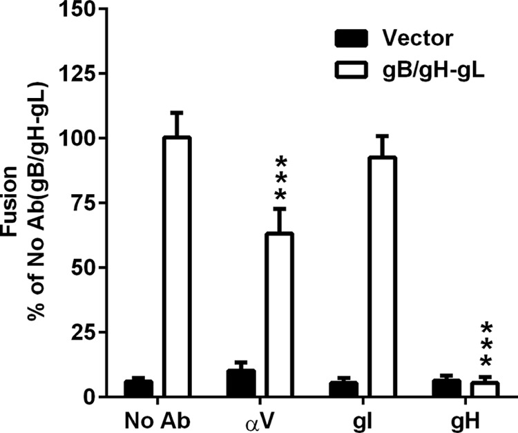 FIG 6