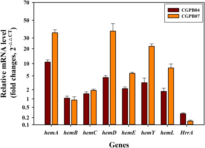 Figure 4