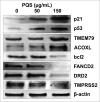 Fig. 10
