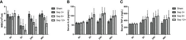 Figure 3