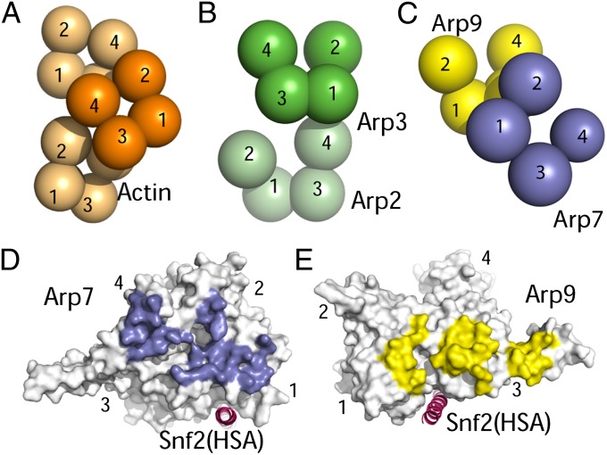 Fig. 3.