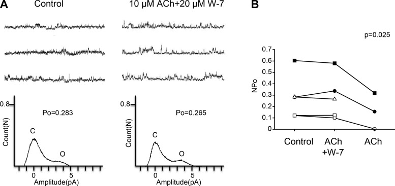 Fig. 8.