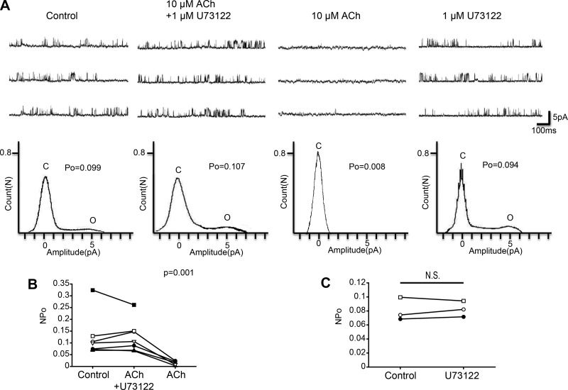 Fig. 7.