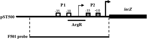 FIG. 1.