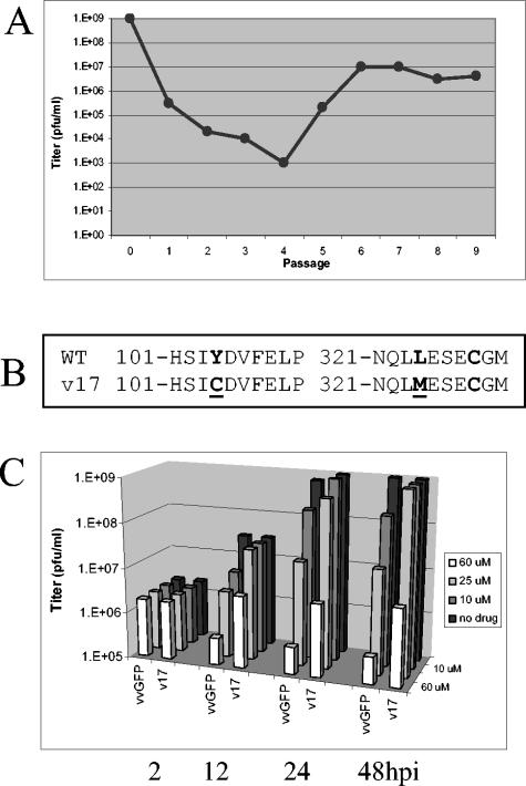 FIG. 7.