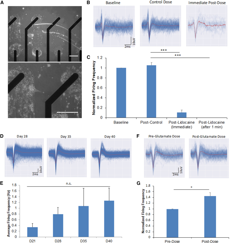 Figure 4