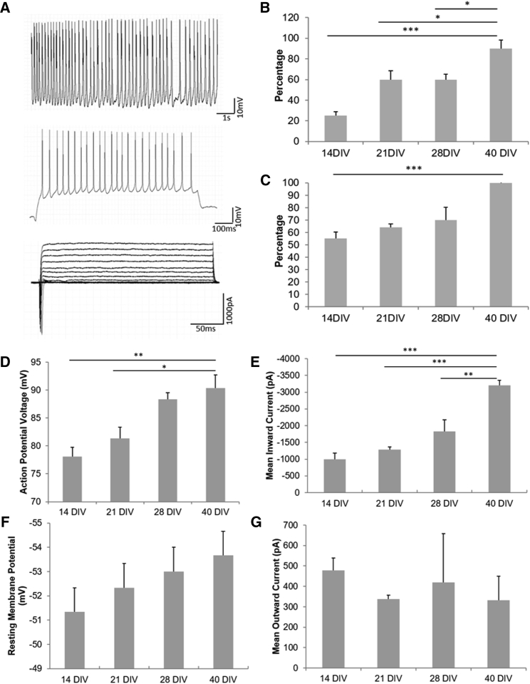 Figure 3