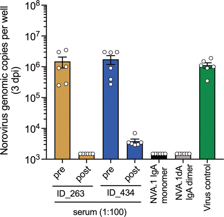 Figure 5