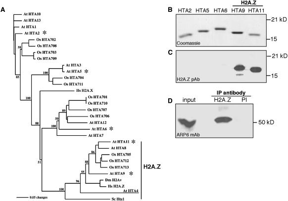 Figure 3.