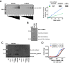 Figure 4—figure supplement 1.