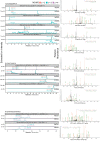 Figure 6—figure supplement 1.