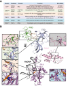 Figure 1—figure supplement 1.