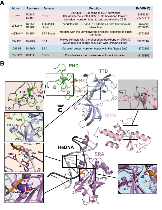 Figure 1—figure supplement 1.