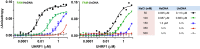 Figure 1—figure supplement 2.