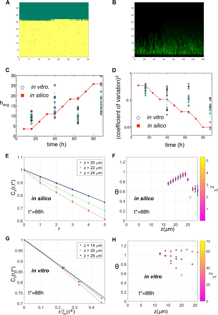 FIG 6 