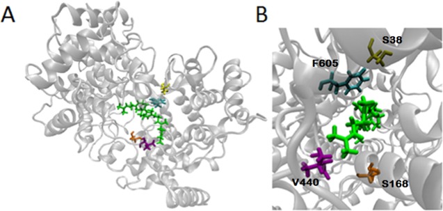 Figure 13