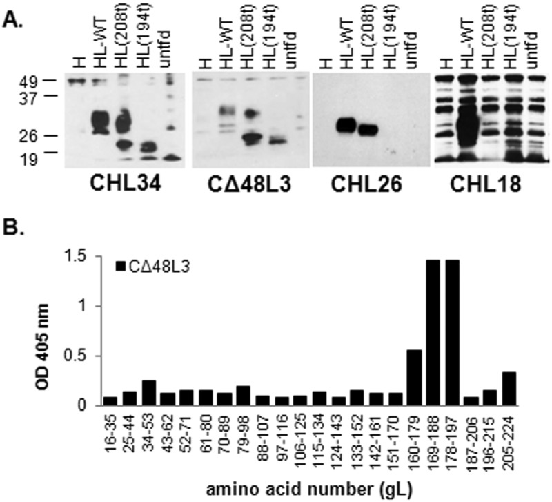 FIG 3 