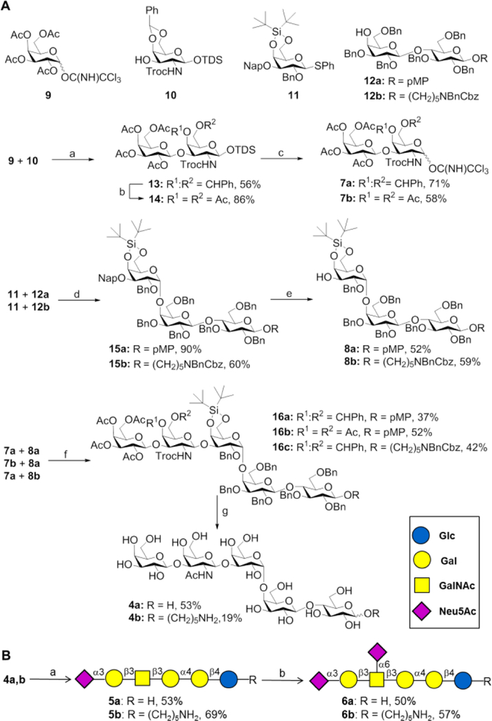 Scheme 1.