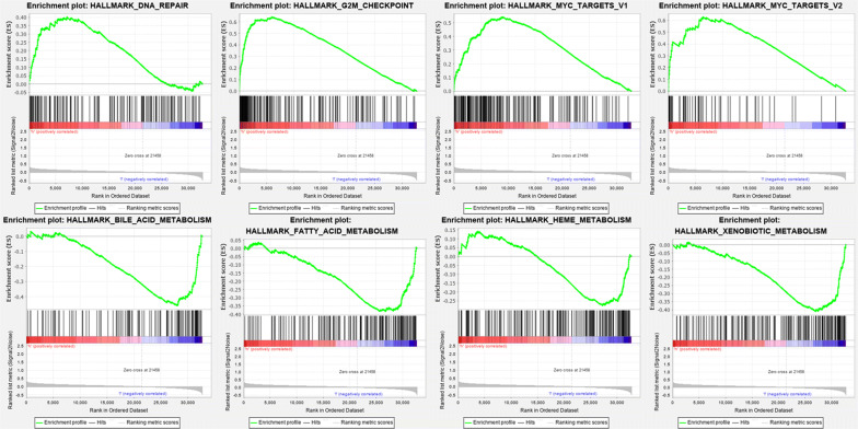 Fig. 13