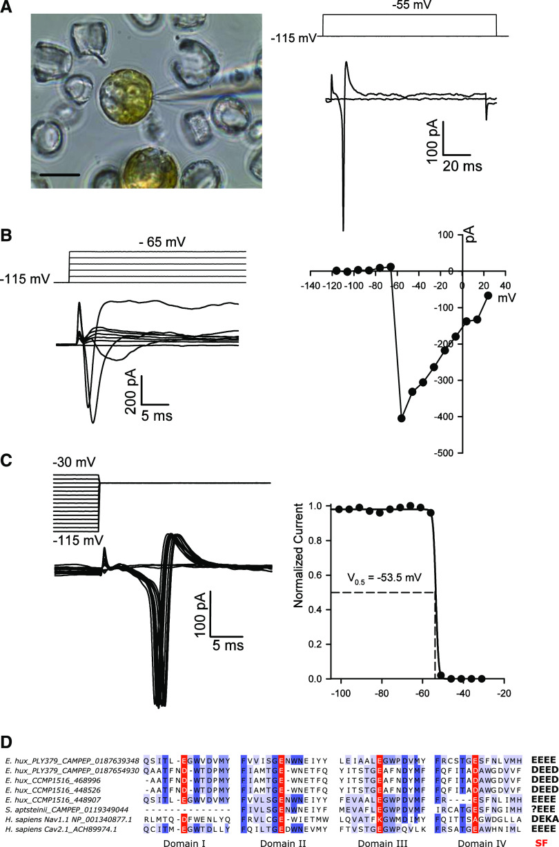 Figure 4.