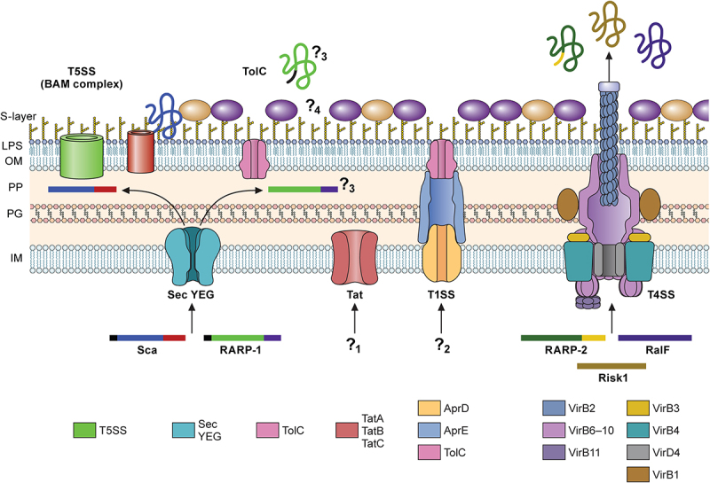 Figure 2.