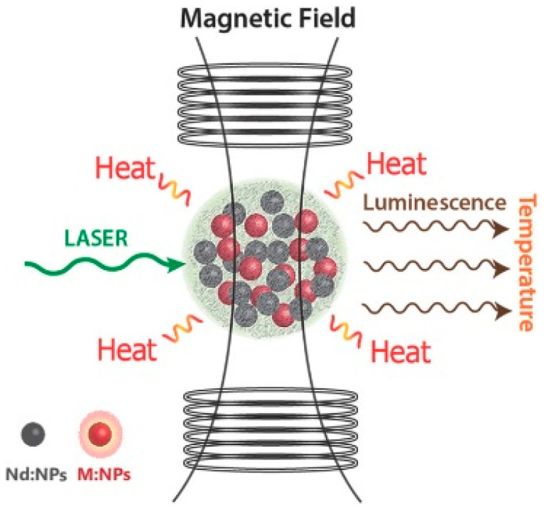 Figure 14