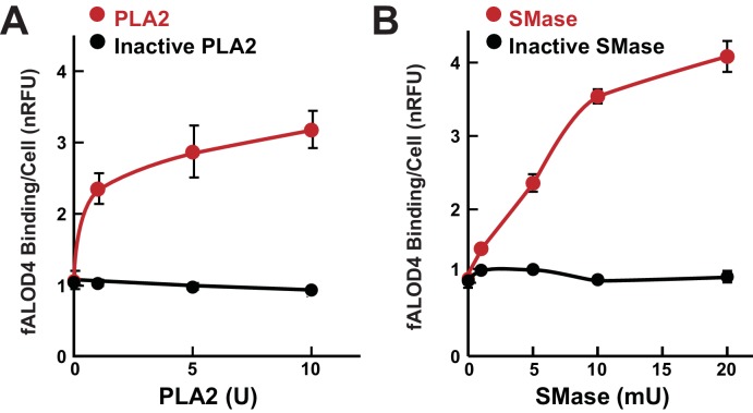 Figure 9.