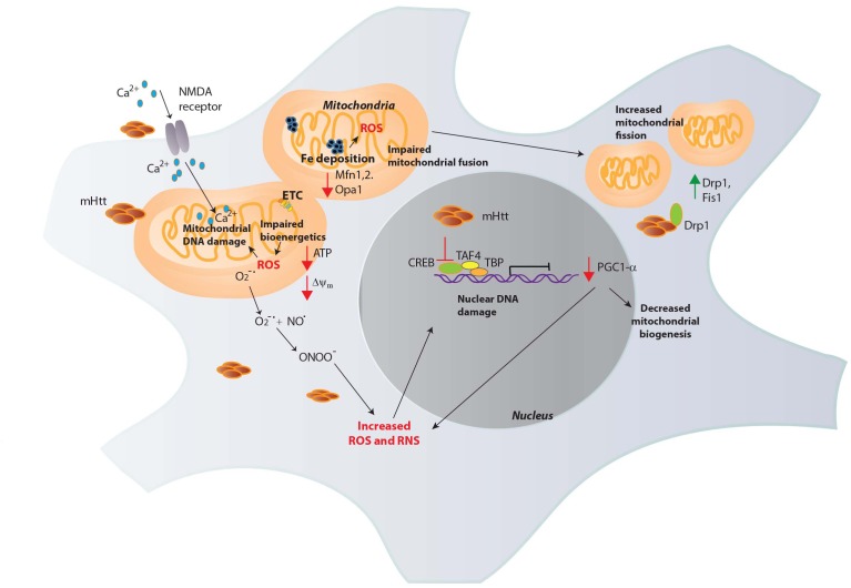 FIGURE 2