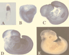 FIG. 4