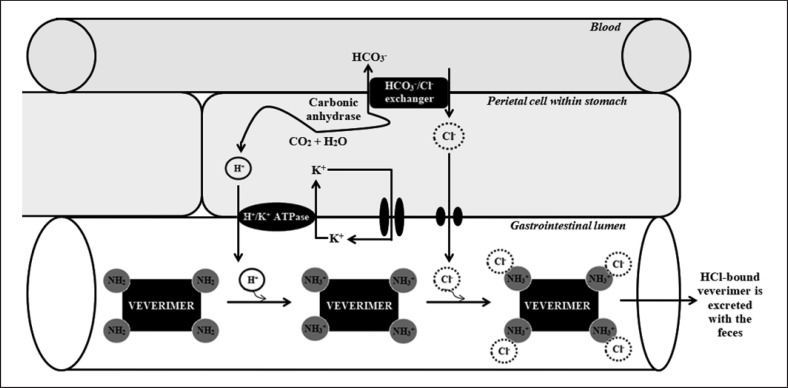 Fig. 7