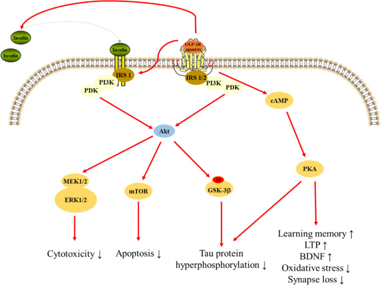 Figure 3