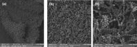 Fig. 10