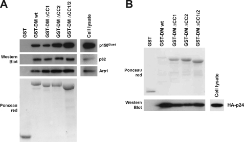 FIGURE 5.