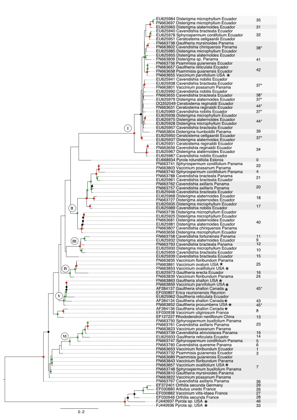 graphic file with name fig1_1_.jpg