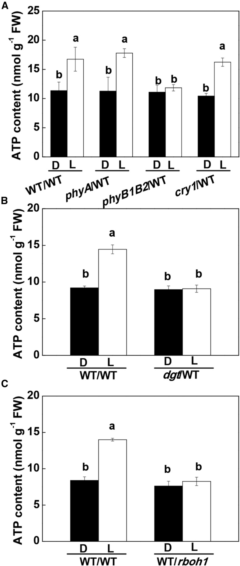 Figure 7.