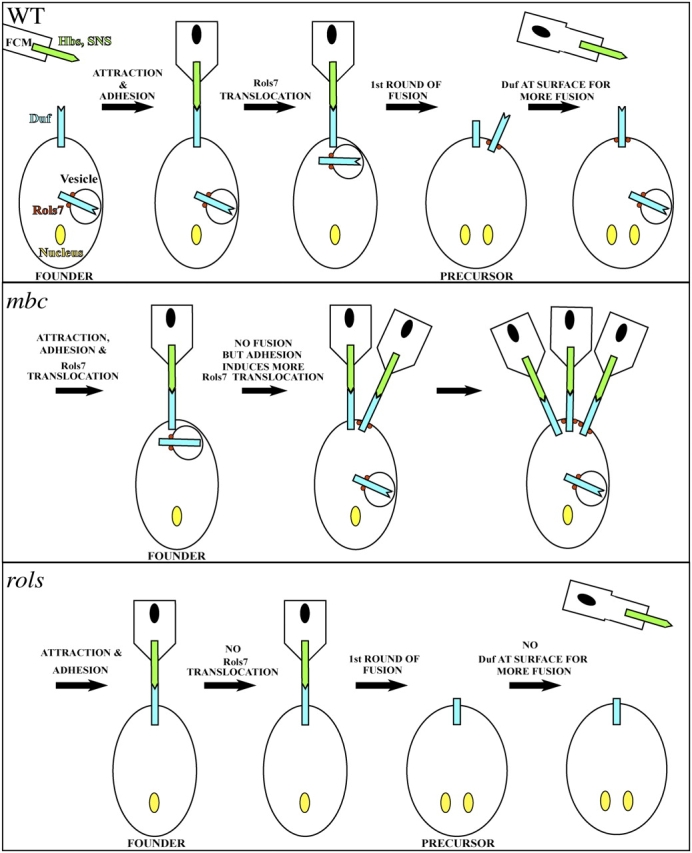 Figure 7.