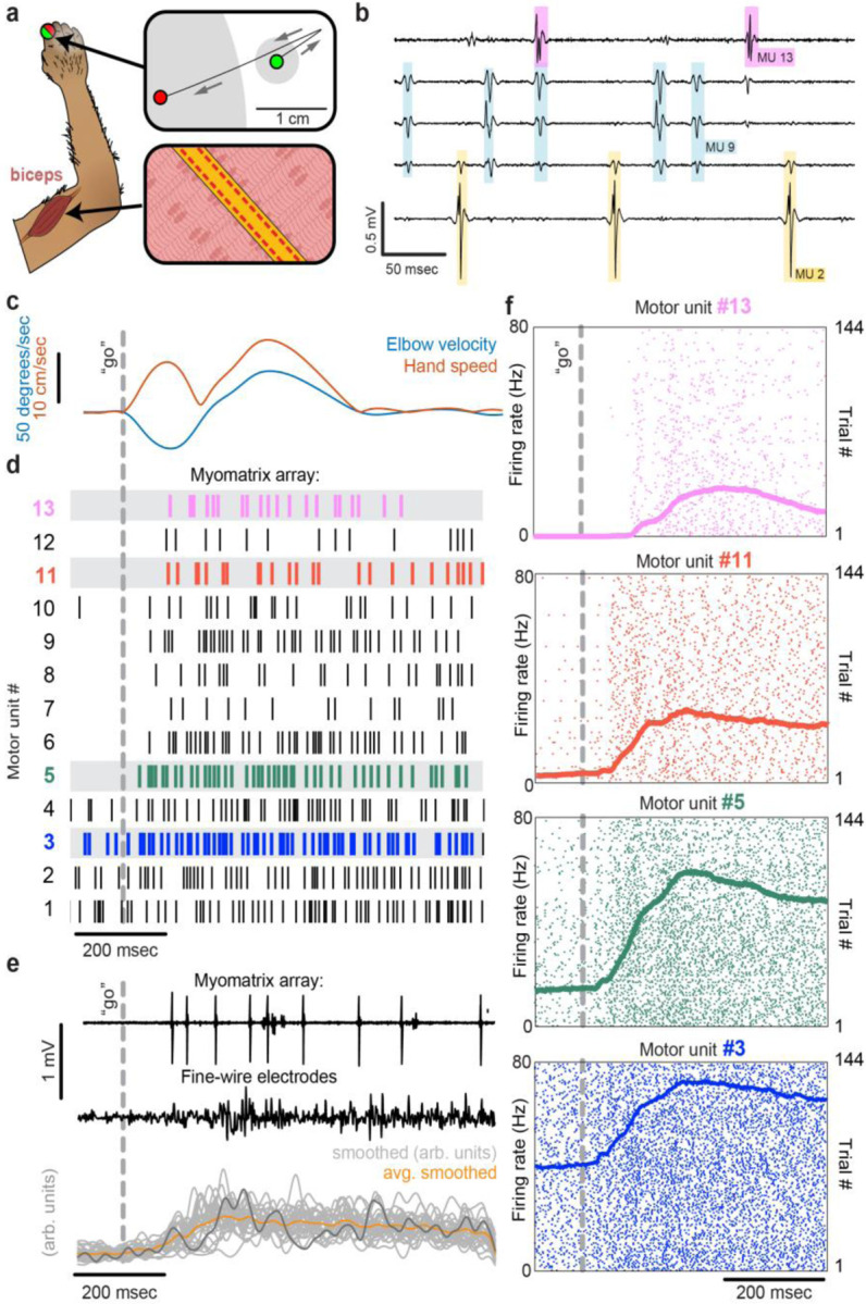 Figure 3: