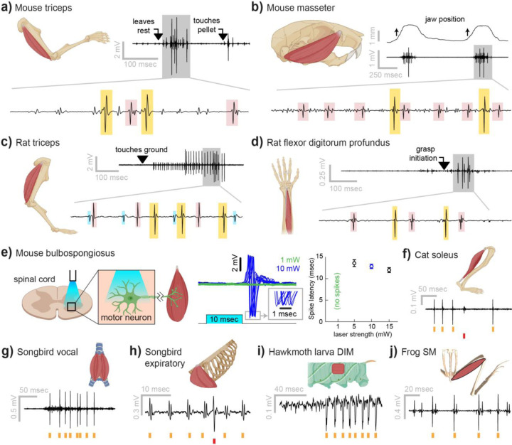 Figure 2: