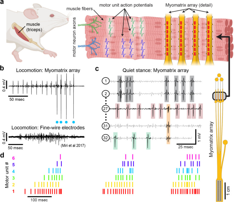 Figure 1: