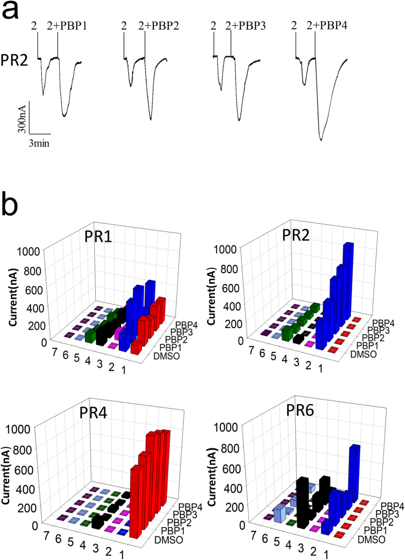 Figure 4