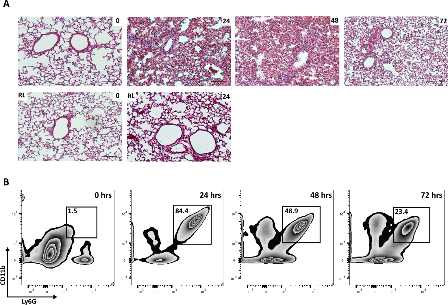 Figure 2: