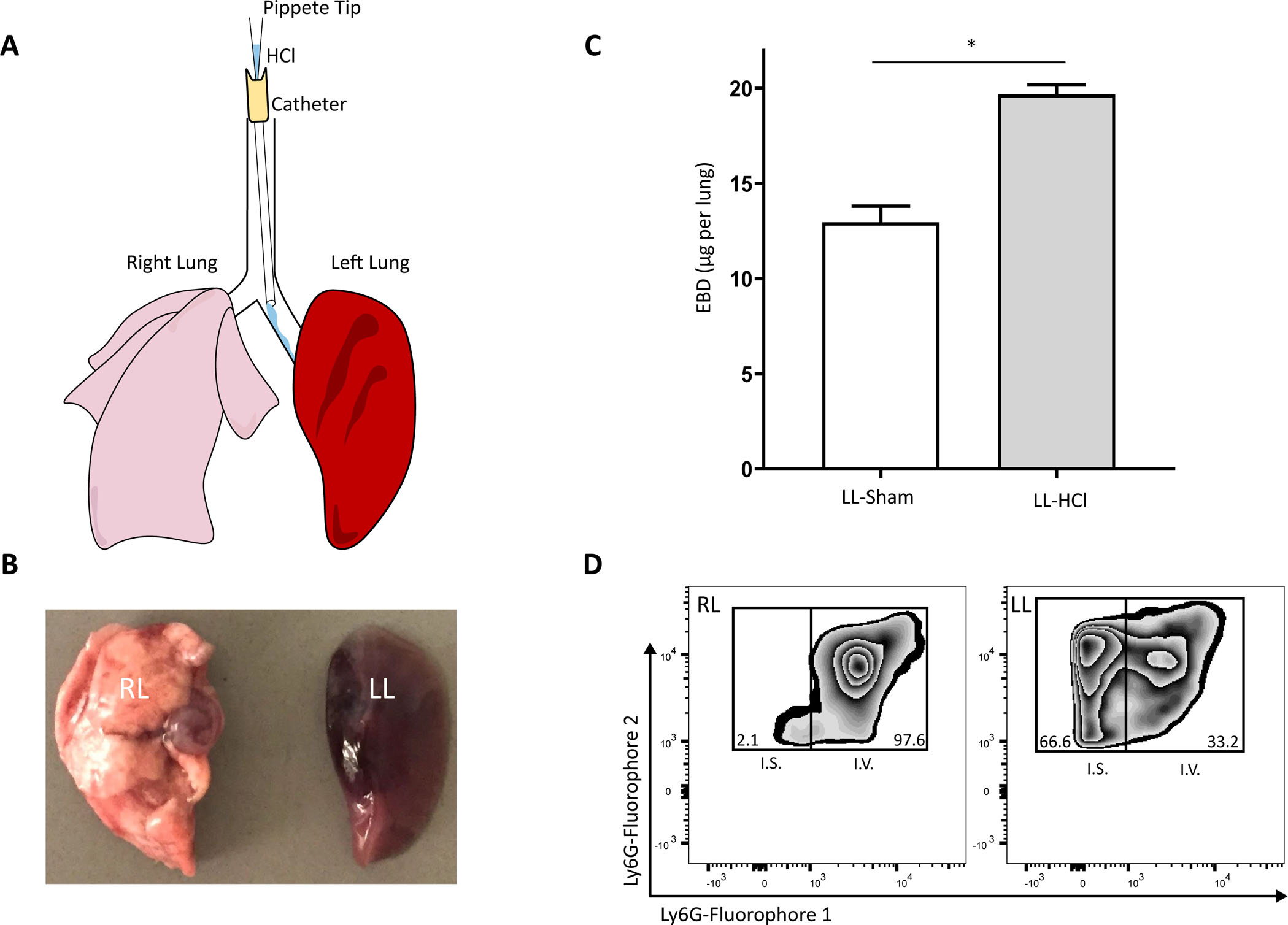 Figure 1: