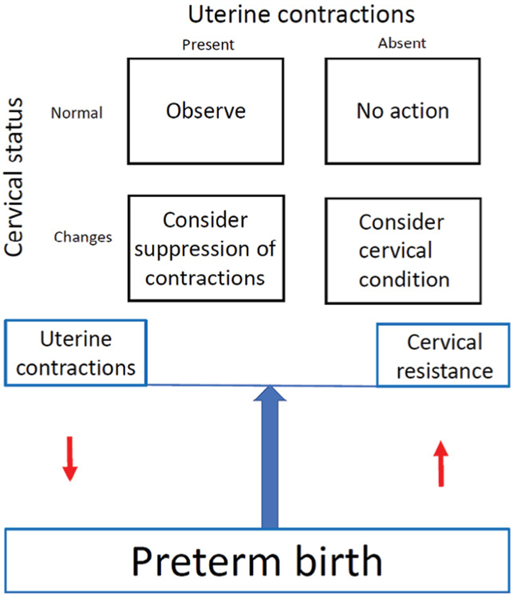 Figure 5: