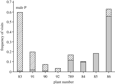 Figure 4.