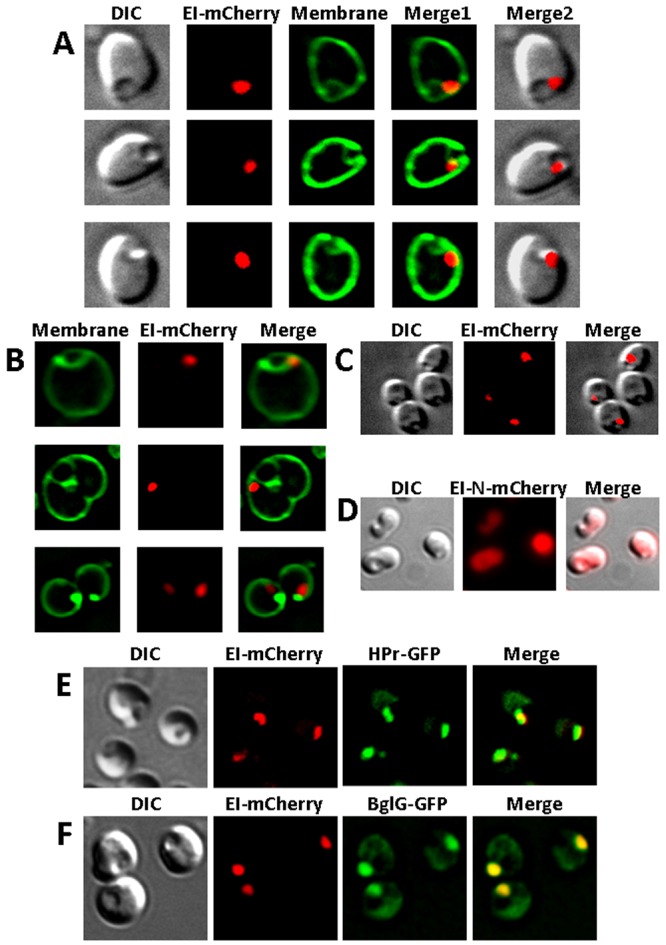 FIG 4 