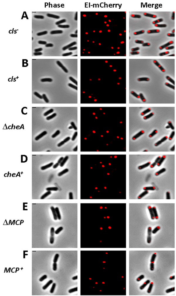 FIG 1 